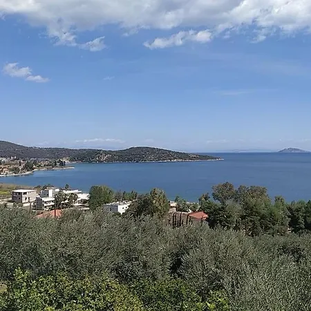 Infinite View * Epidaurus