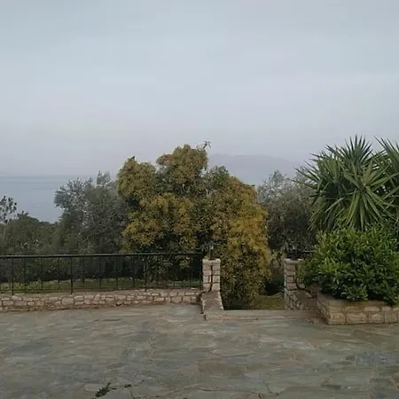 Infinite View