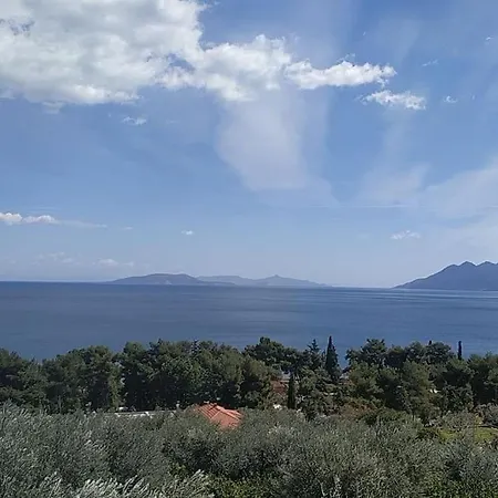 Infinite View *